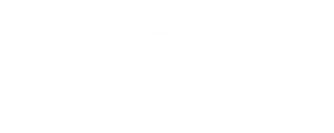 brighte logo white